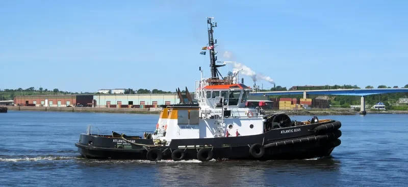 ATLANTIC BEAR General Cargo IMO 9451147 photo 4