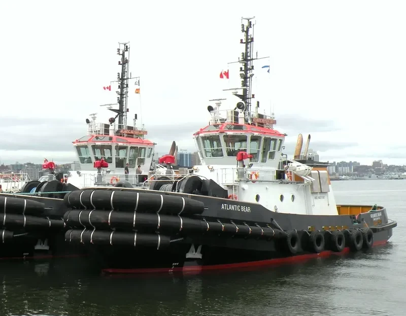 ATLANTIC BEAR General Cargo IMO 9451147 photo 9