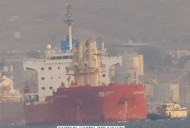 SERENE SUSANNAH Bulk Carrier IMO 9451173 photo 3