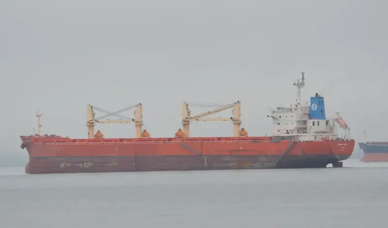 SERENE SUSANNAH Bulk Carrier IMO 9451173 photo 5