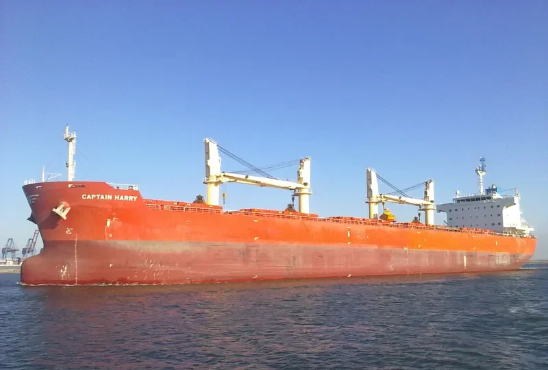 SERENE SUSANNAH Bulk Carrier IMO 9451173 photo 6