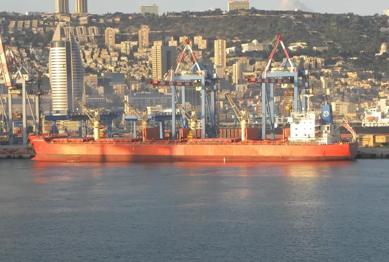 SERENE SUSANNAH Bulk Carrier IMO 9451173 photo 7