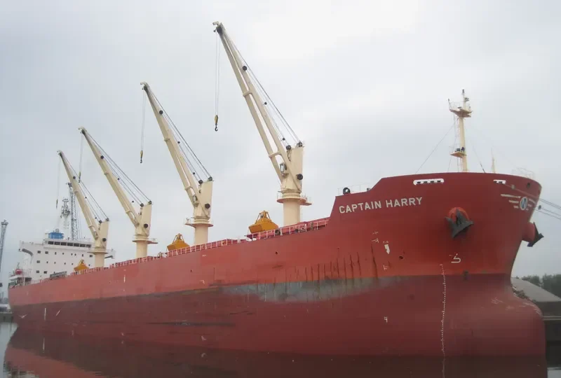 SERENE SUSANNAH Bulk Carrier IMO 9451173 photo 8