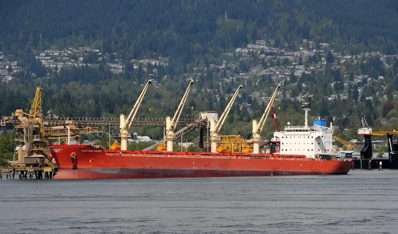 SERENE SUSANNAH Bulk Carrier IMO 9451173 photo 9