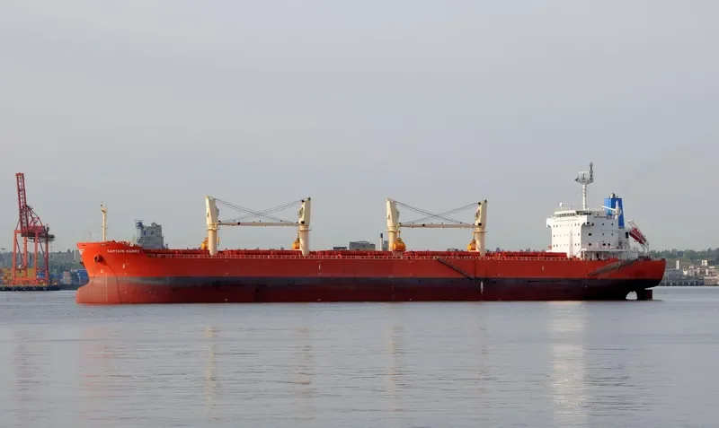 SERENE SUSANNAH Bulk Carrier IMO 9451173 photo 10