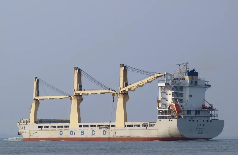 DA DAN XIA General Cargo IMO 9451290 photo 8