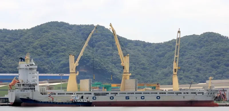 DA TONG YUN General Cargo IMO 9451343 photo 45