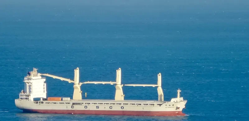DA HONG XIA General Cargo IMO 9451355 photo 8