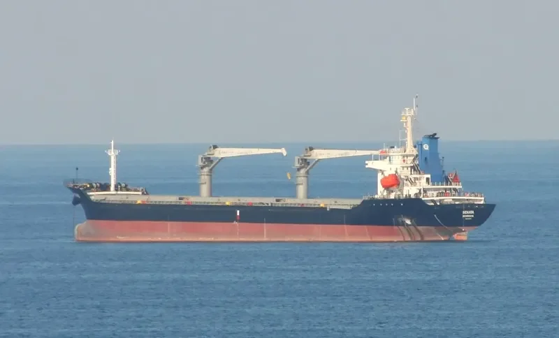 SENATA Bulk Carrier IMO 9451575