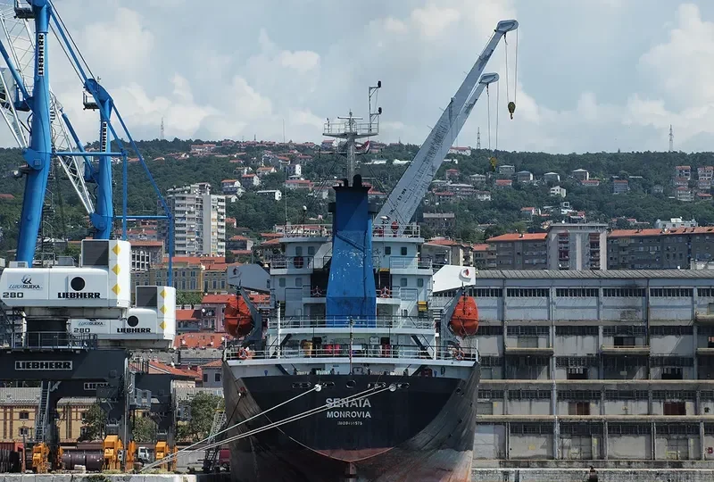 SENATA Bulk Carrier IMO 9451575 photo 2