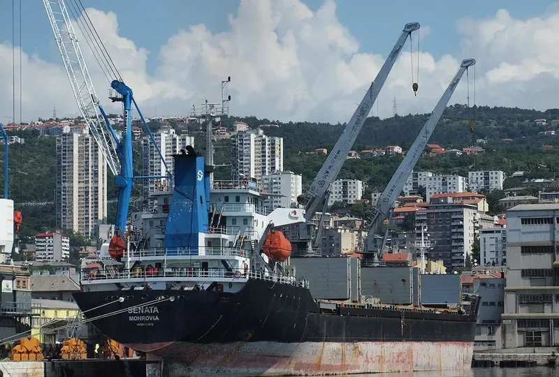 SENATA Bulk Carrier IMO 9451575 photo 3