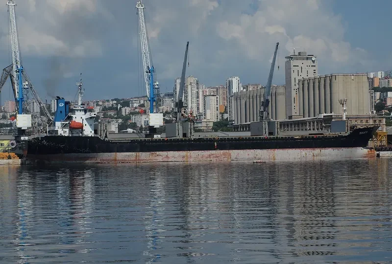 SENATA Bulk Carrier IMO 9451575 photo 4