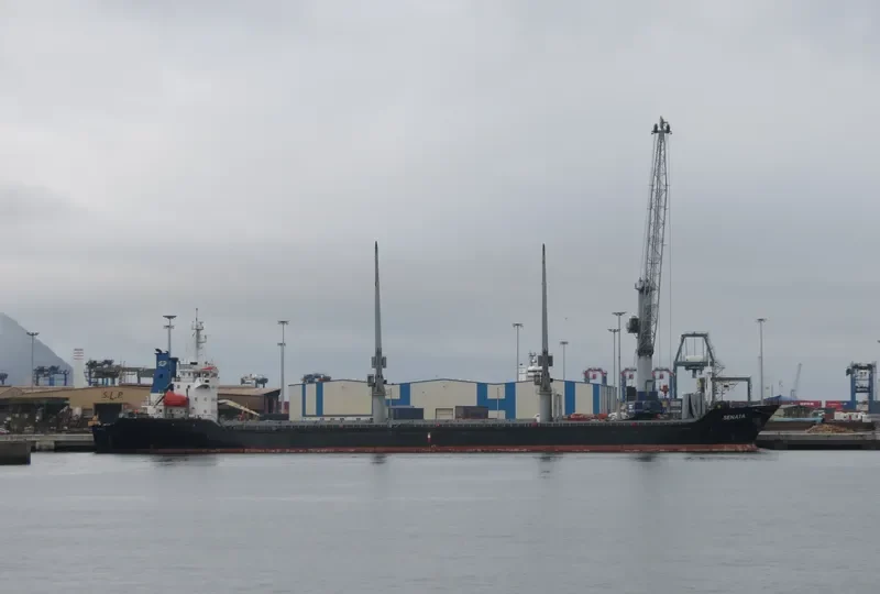 SENATA Bulk Carrier IMO 9451575 photo 5