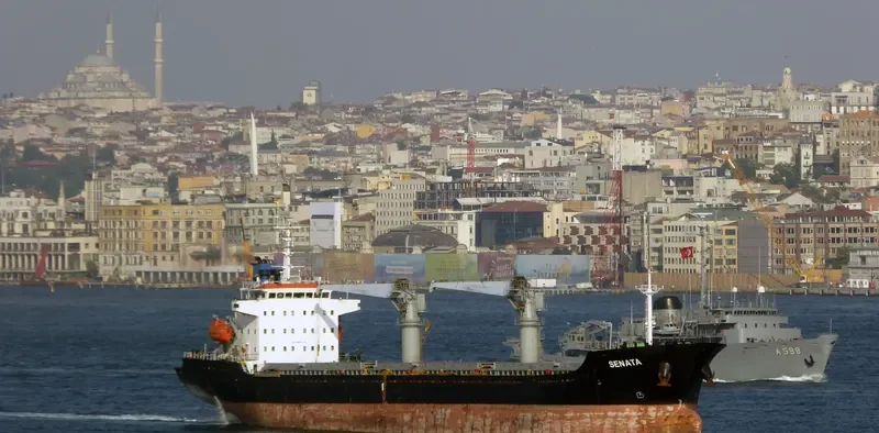 SENATA Bulk Carrier IMO 9451575 photo 6