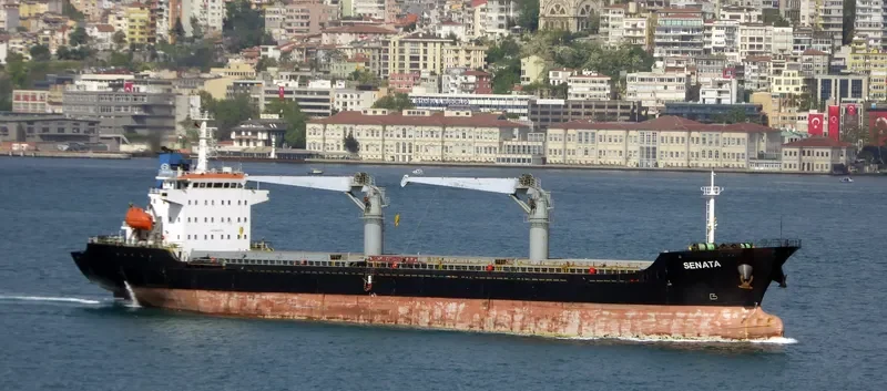 SENATA Bulk Carrier IMO 9451575 photo 7
