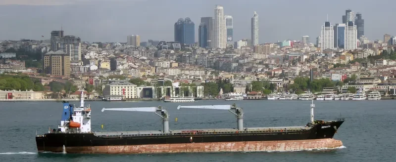 SENATA Bulk Carrier IMO 9451575 photo 8