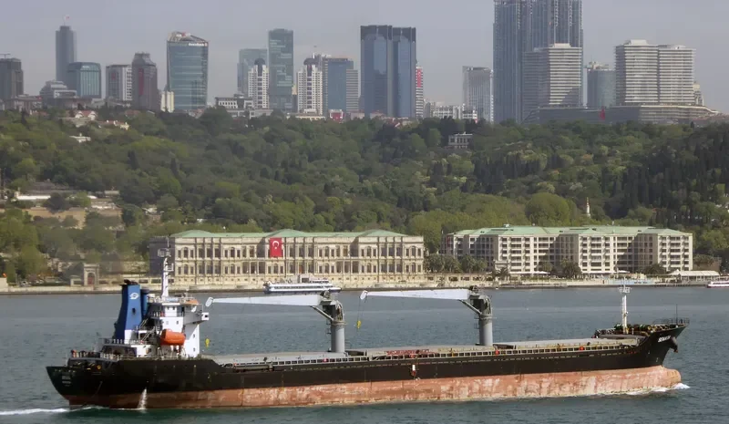 SENATA Bulk Carrier IMO 9451575 photo 9