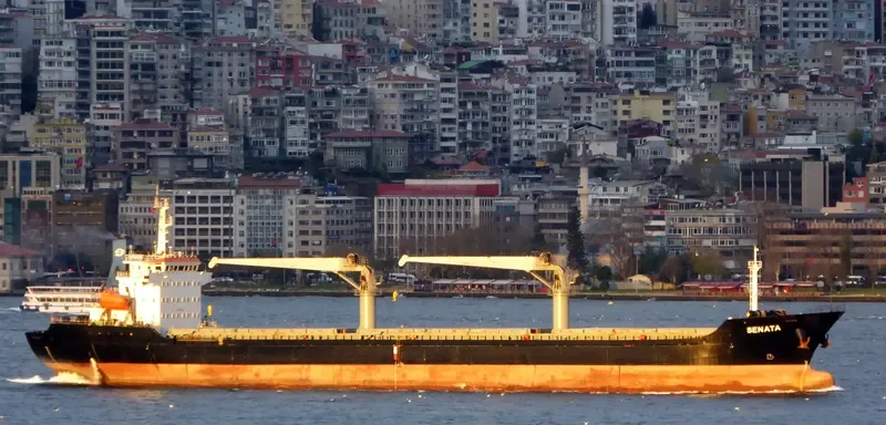 SENATA Bulk Carrier IMO 9451575 photo 10