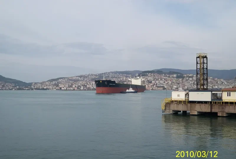 ATHENIAN PHOENIX Bulk Carrier IMO 9451616 photo 4