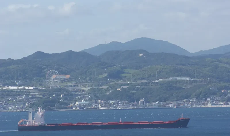 VIDYUT Bulk Carrier IMO 9451769