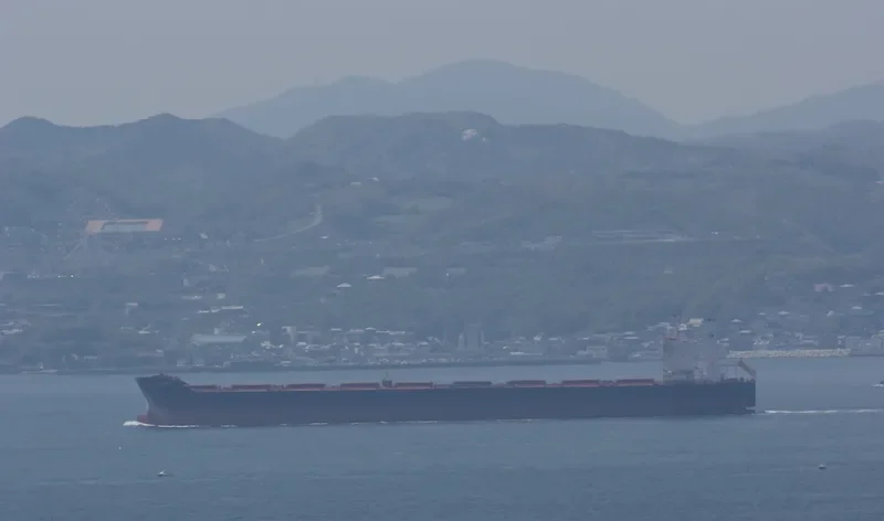 VIDYUT Bulk Carrier IMO 9451769 photo 2