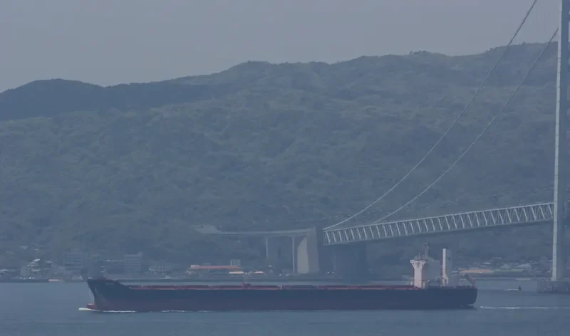 VIDYUT Bulk Carrier IMO 9451769 photo 3