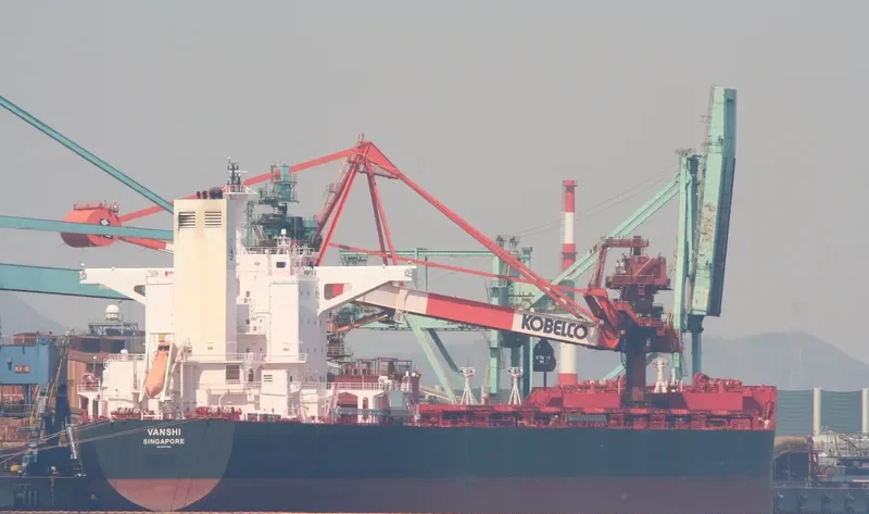 VIDYUT Bulk Carrier IMO 9451769 photo 4