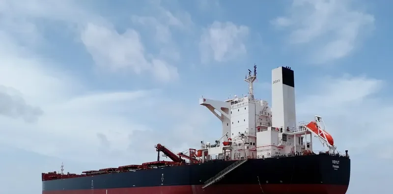 VIDYUT Bulk Carrier IMO 9451769 photo 5