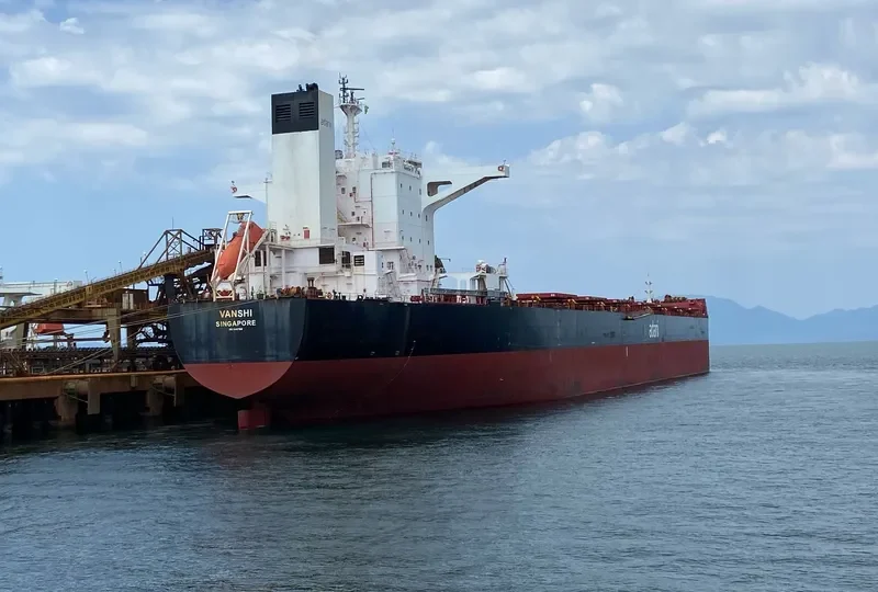 VIDYUT Bulk Carrier IMO 9451769 photo 6