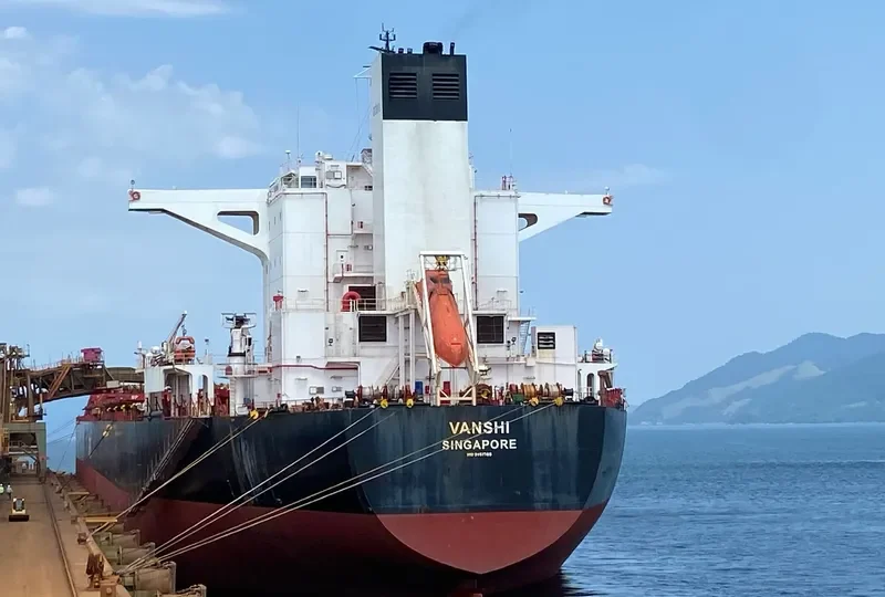 VIDYUT Bulk Carrier IMO 9451769 photo 7