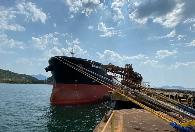 VIDYUT Bulk Carrier IMO 9451769 photo 8