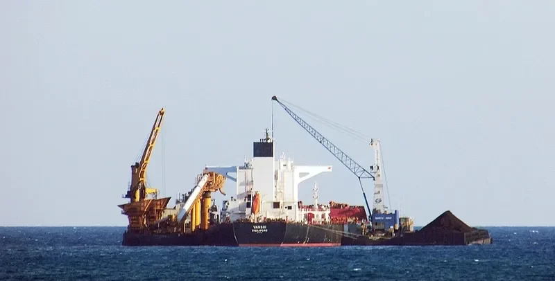 VIDYUT Bulk Carrier IMO 9451769 photo 9
