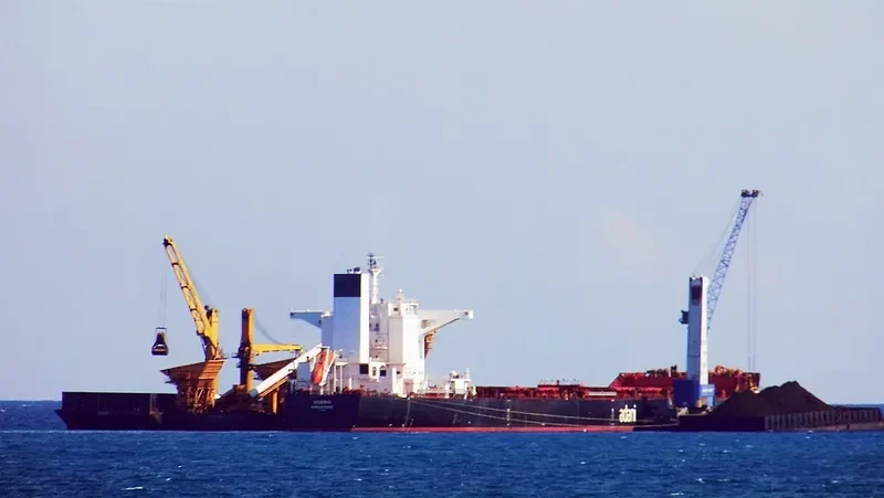 VIDYUT Bulk Carrier IMO 9451769 photo 10