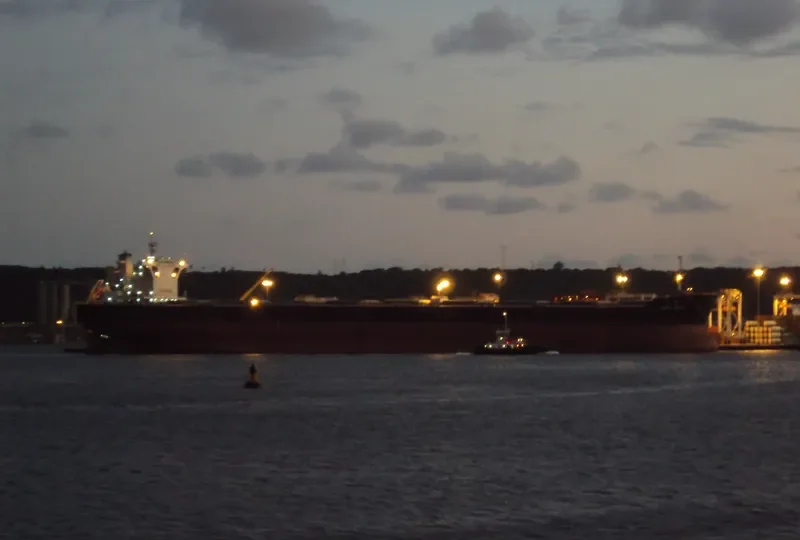 GREAT TANG Bulk Carrier IMO 9452464 photo 8