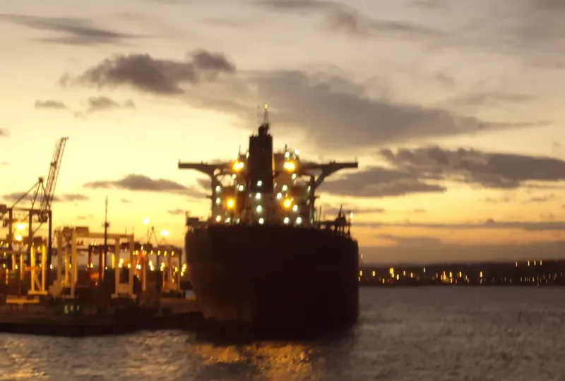 GREAT TANG Bulk Carrier IMO 9452464 photo 10