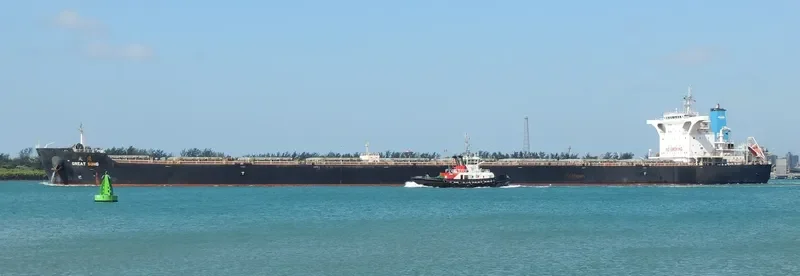 GREAT SONG Bulk Carrier IMO 9452476 photo 4