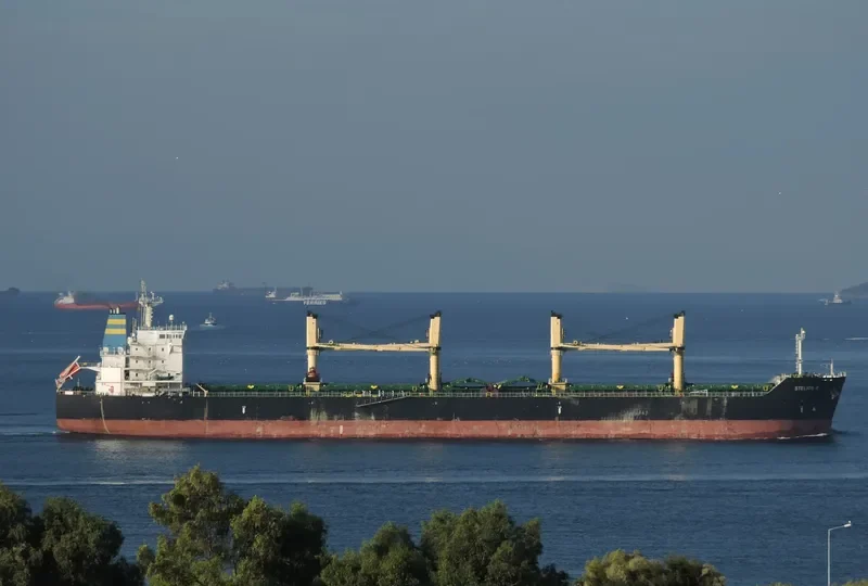 STELIOS B Bulk Carrier IMO 9452490 photo 2