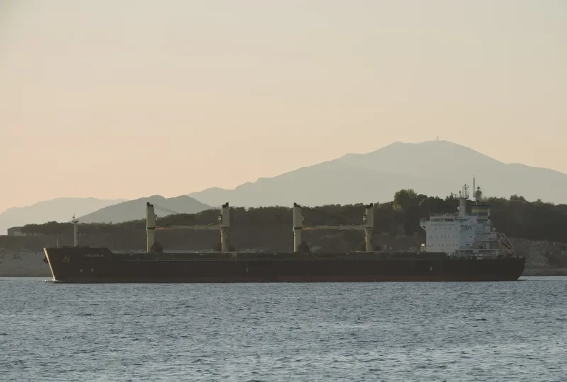 STELIOS B Bulk Carrier IMO 9452490 photo 4