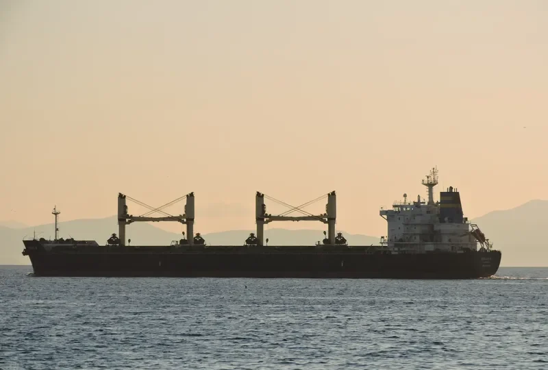 STELIOS B Bulk Carrier IMO 9452490 photo 5