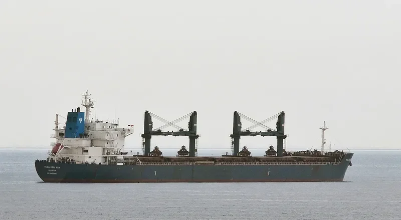 STELIOS B Bulk Carrier IMO 9452490 photo 9
