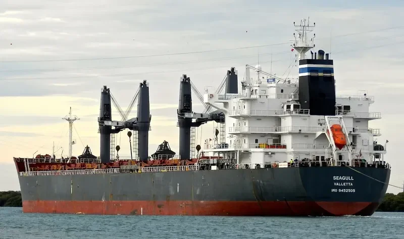 SEAGULL Bulk Carrier IMO 9452505 photo 3