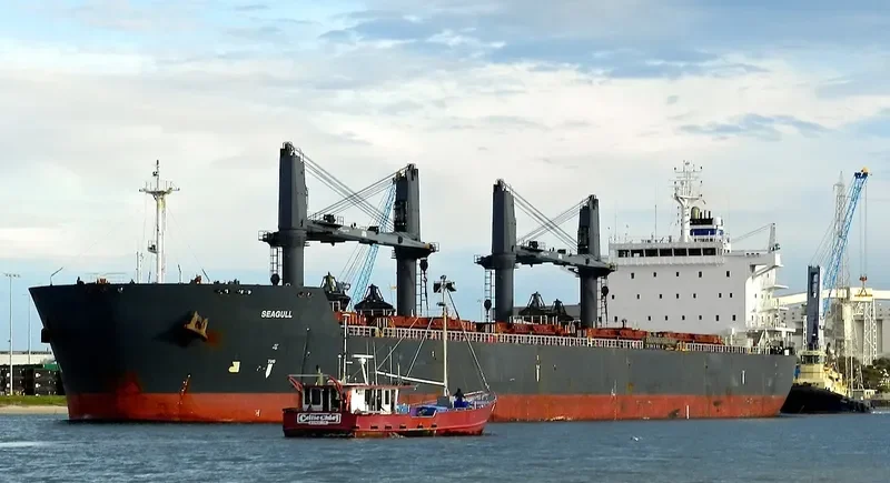 SEAGULL Bulk Carrier IMO 9452505 photo 4