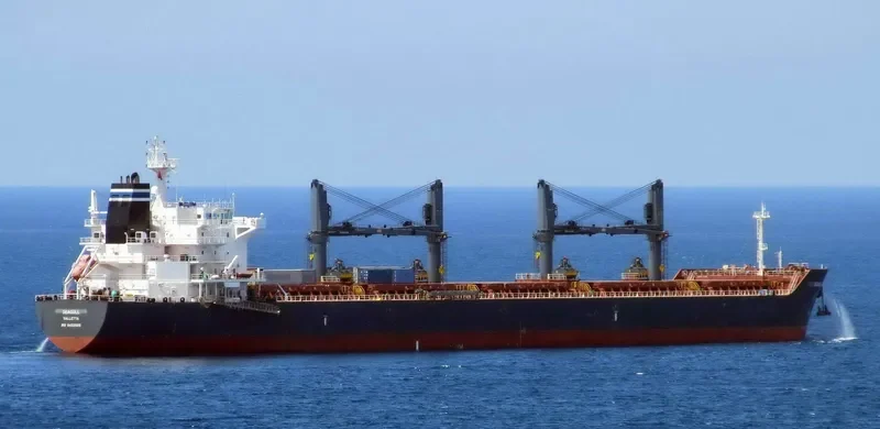 SEAGULL Bulk Carrier IMO 9452505 photo 7