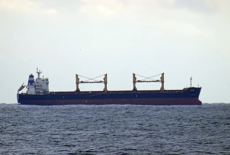 THEMIS Bulk Carrier IMO 9452543 photo 2