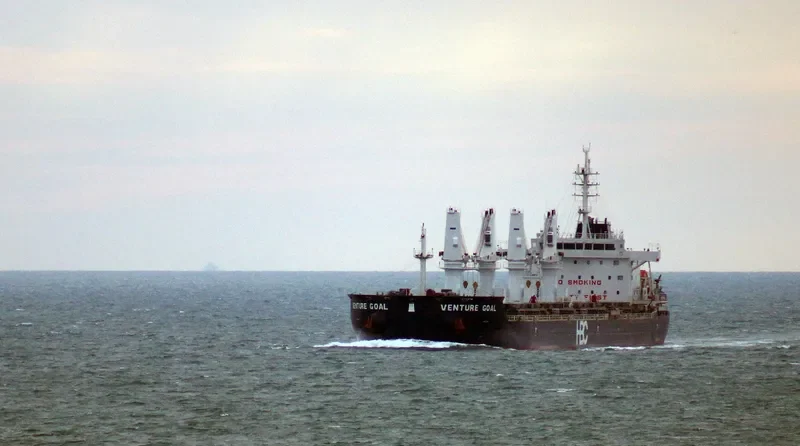 THEMIS Bulk Carrier IMO 9452543 photo 8