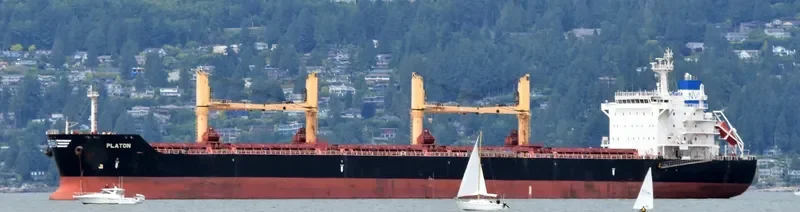 PLATON Bulk Carrier IMO 9452555 photo 6