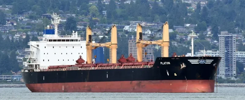 PLATON Bulk Carrier IMO 9452555 photo 8