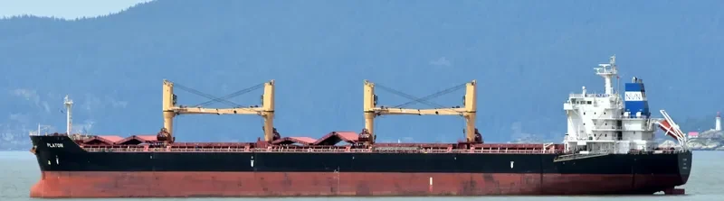 PLATON Bulk Carrier IMO 9452555 photo 9