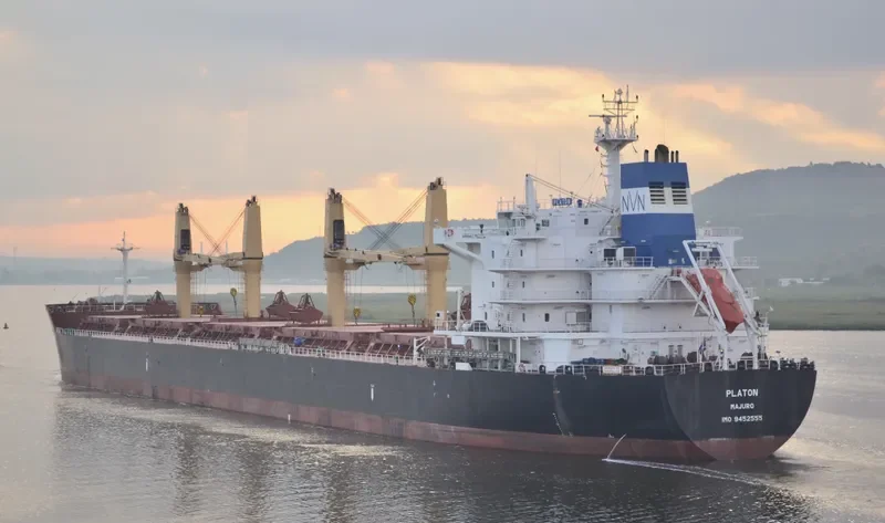 PLATON Bulk Carrier IMO 9452555 photo 10