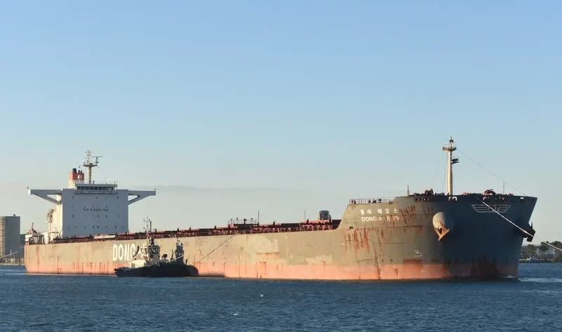 DONG A EOS Bulk Carrier IMO 9452579 photo 7